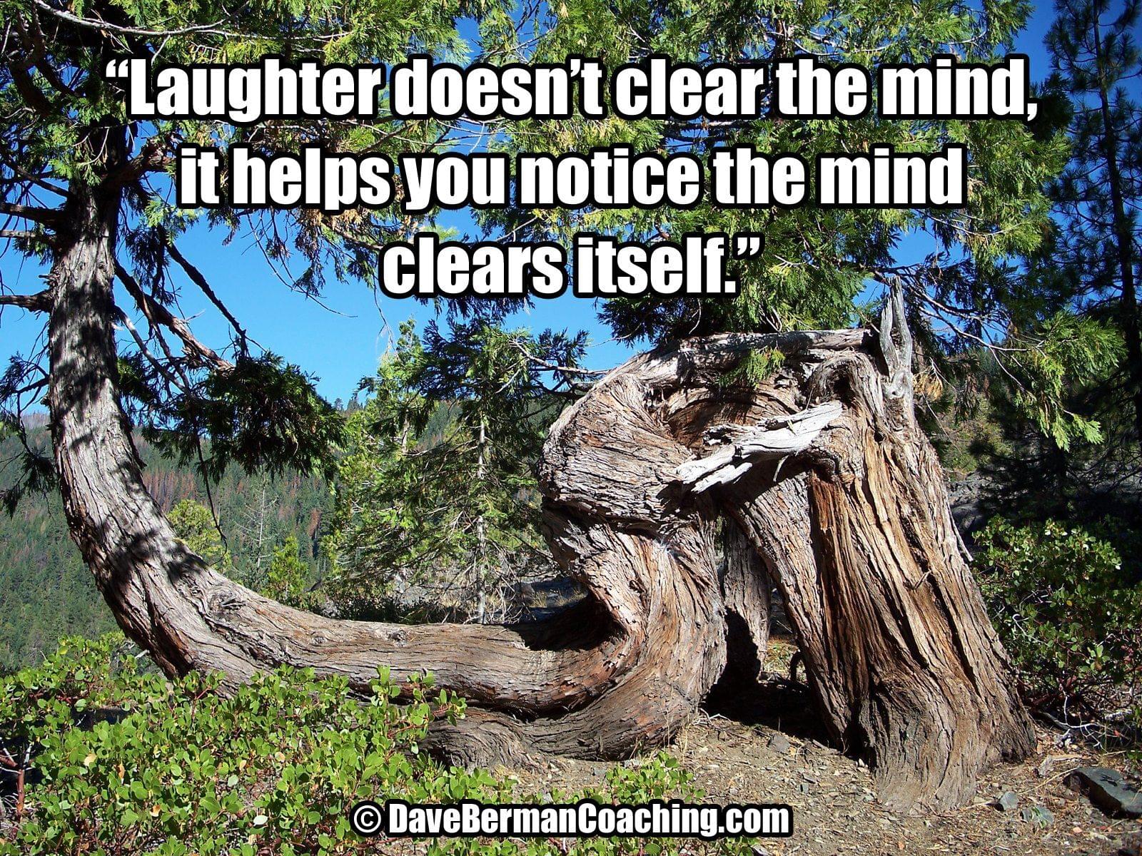 A tree stump bends along the ground several feet before finally growing upright. Caption: "Laughter doesn't clear the mind, it helps you notice the mind clears itself." © DaveBermanCoaching.com